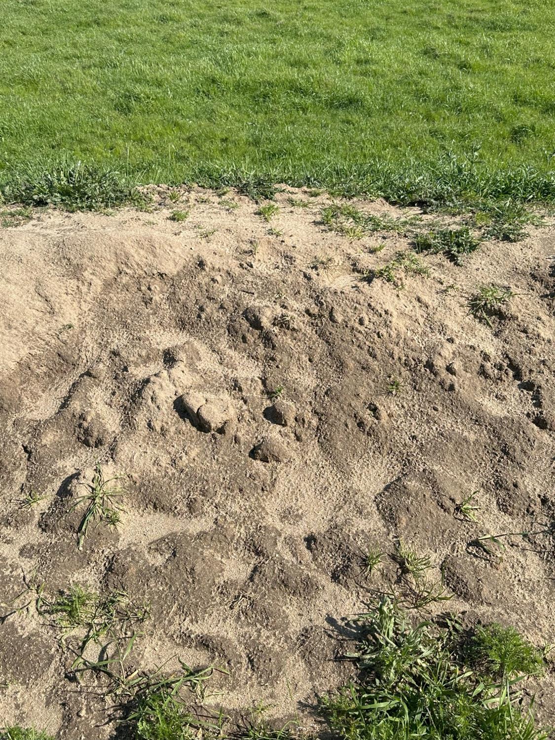 1100 Crabtree Rd, Waterford, CA 95386