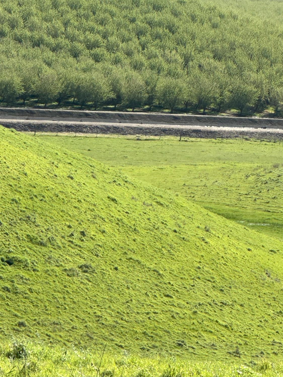 1100 Crabtree Rd, Waterford, CA 95386