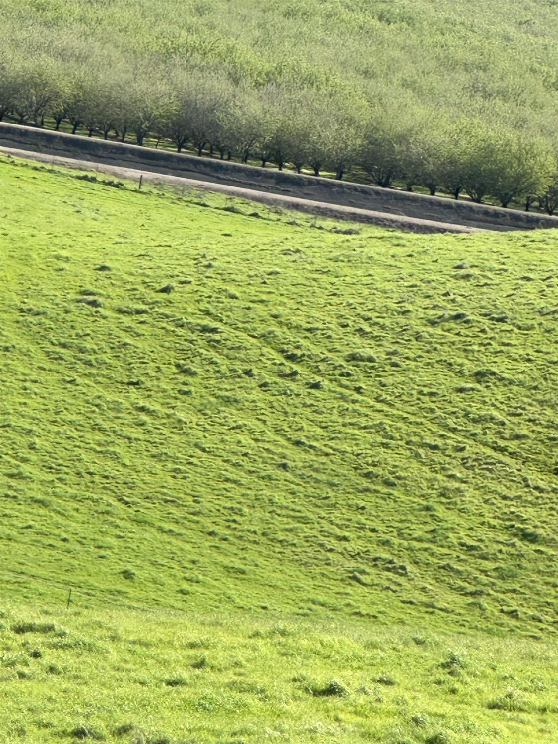 1100 Crabtree Rd, Waterford, CA 95386