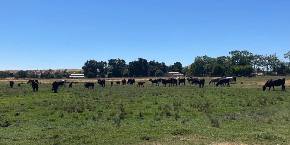 0 Morrison Rd, Oakdale, CA 95361