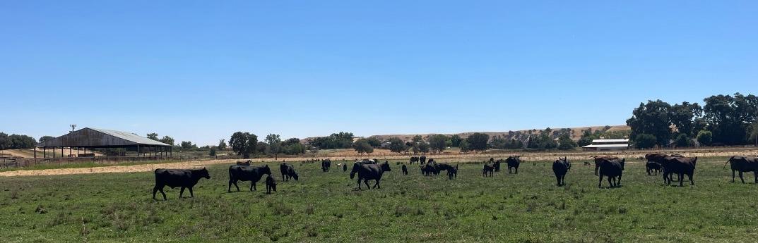 0 Morrison Rd, Oakdale, CA 95361