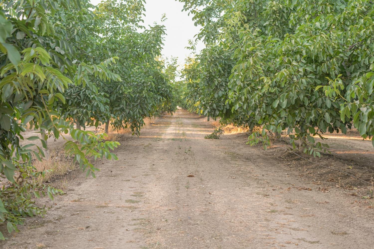 1081 E Gerard Ave, Merced, CA 95341