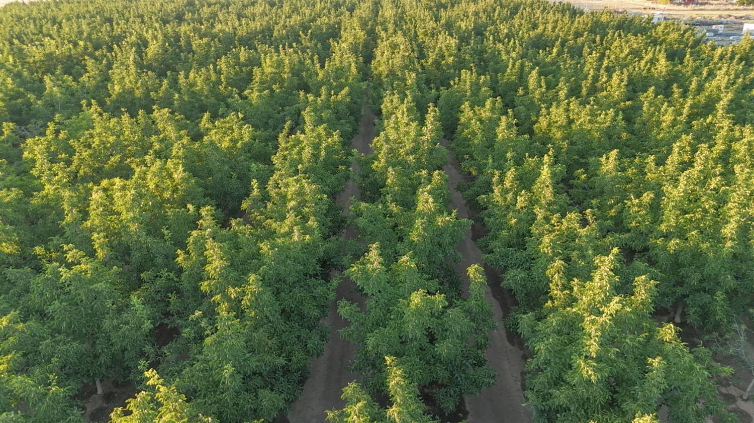 1081 E Gerard Ave, Merced, CA 95341