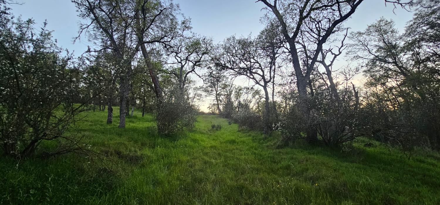 9145 Hunters Valley Rd, La Grange, CA 95329