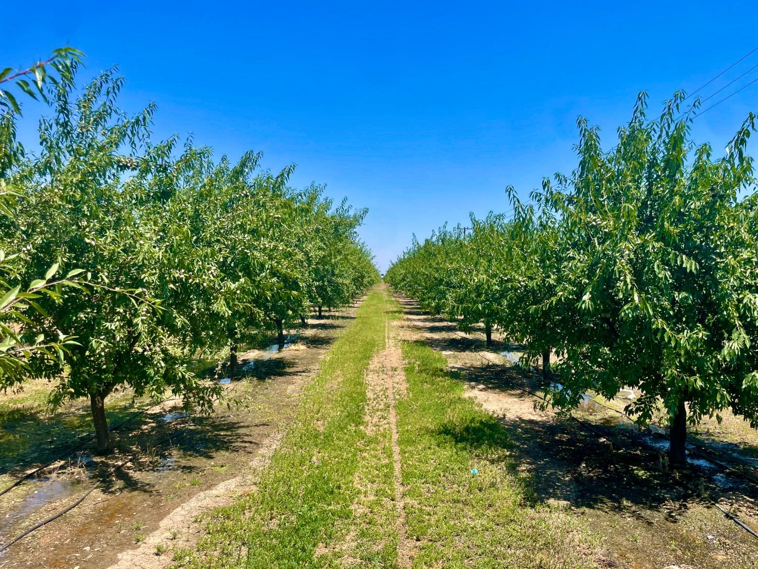 0 Whitworth Rd, Gustine, CA 95322