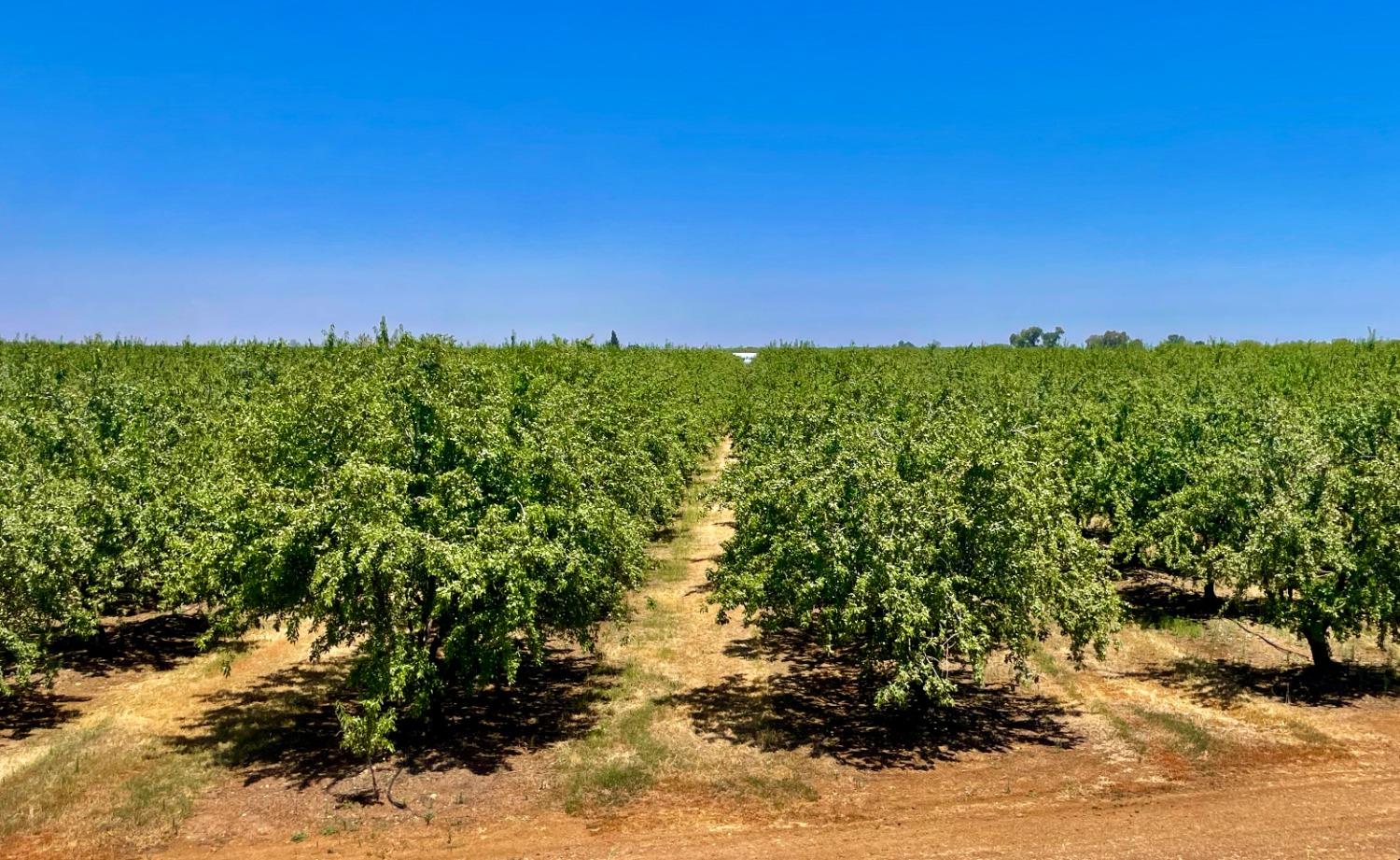 0 Whitworth Rd, Gustine, CA 95322