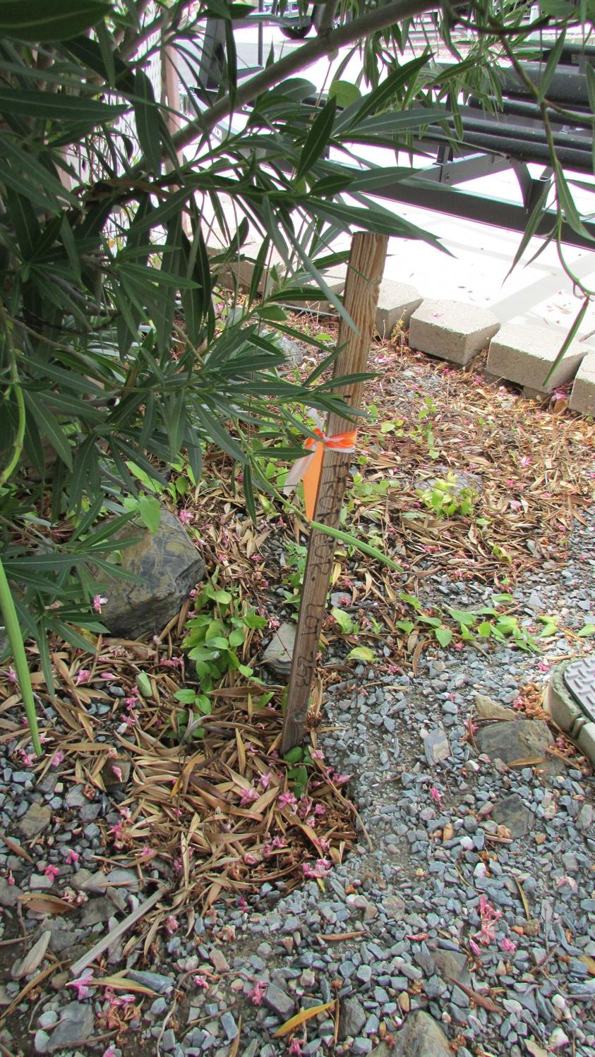 271 Duchess Dr, Copperopolis, CA 95228