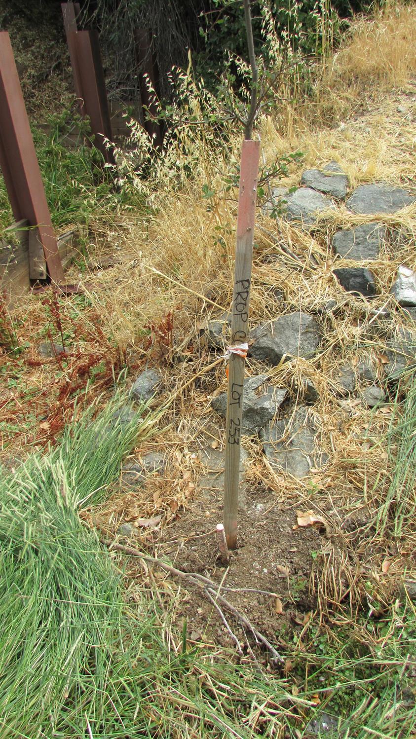 271 Duchess Dr, Copperopolis, CA 95228