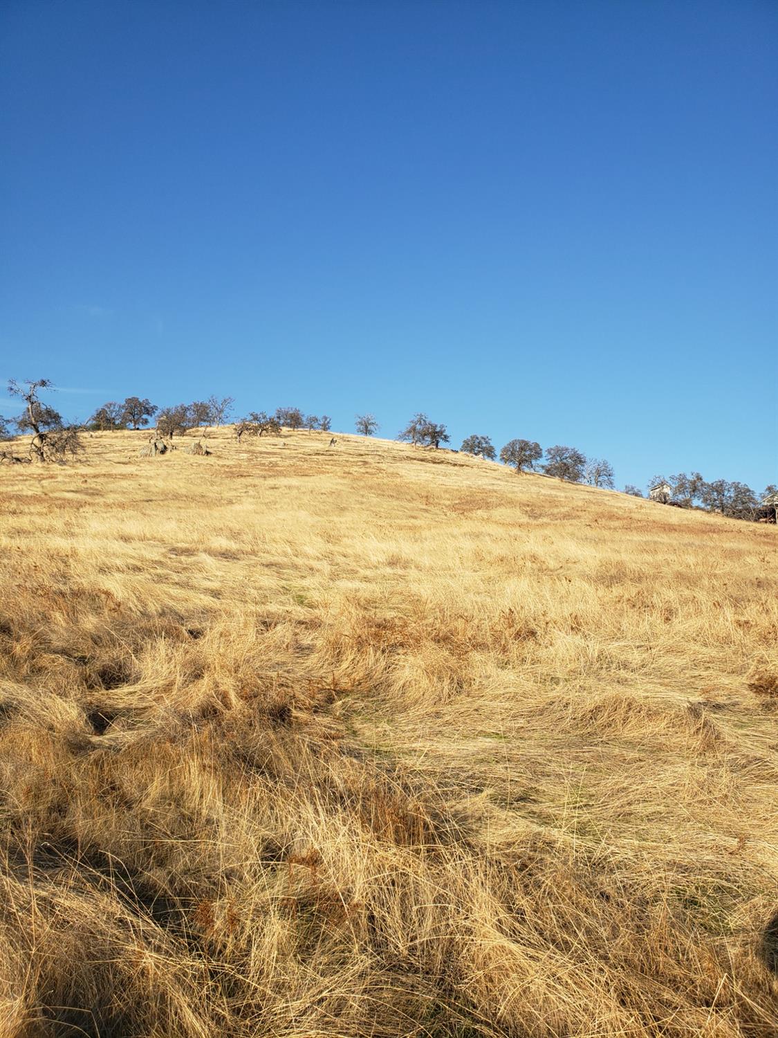 2417 Adelfa St, La Grange, CA 95329