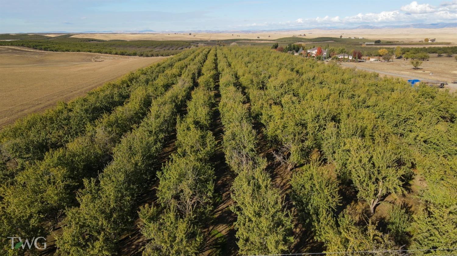 0 Figmond Ave., Snelling, CA 95369