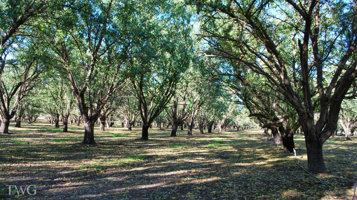 0 Figmond Ave., Snelling, CA 95369