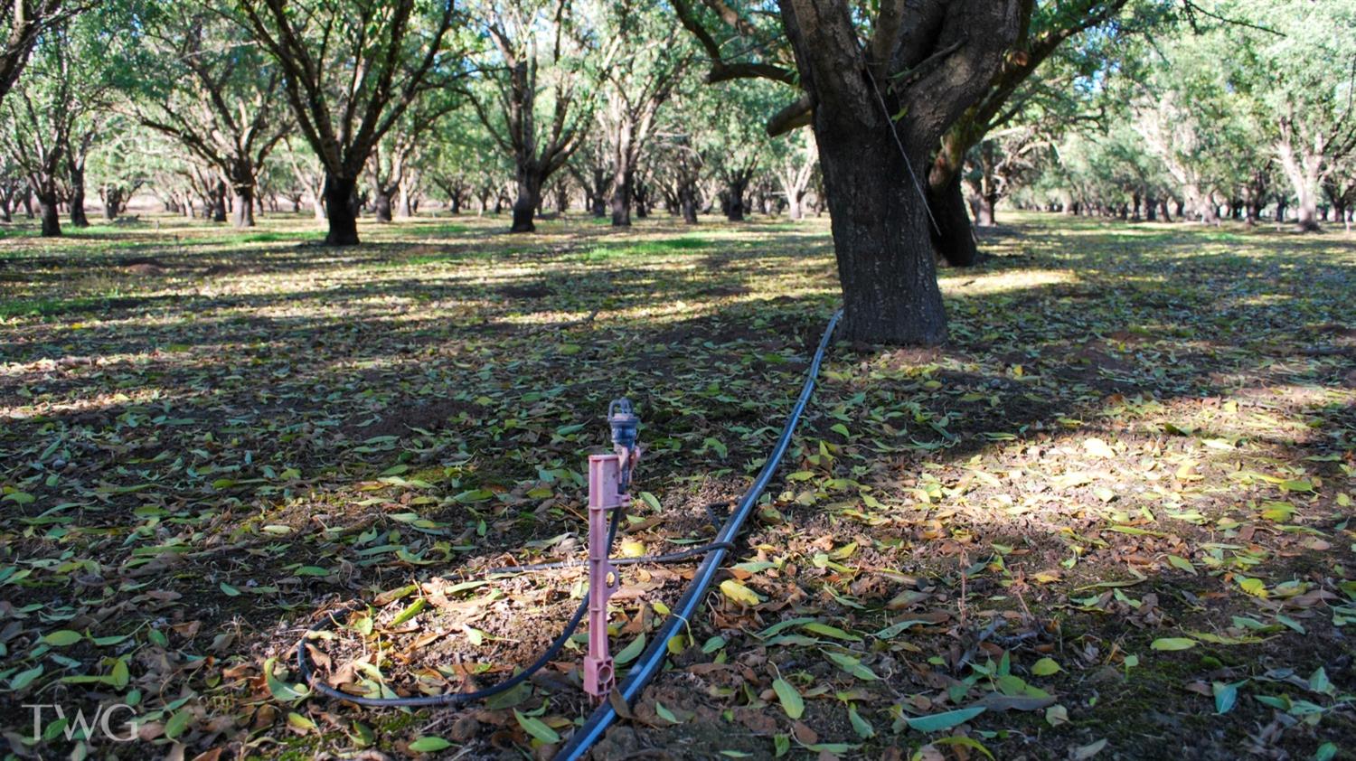 0 Figmond Ave., Snelling, CA 95369