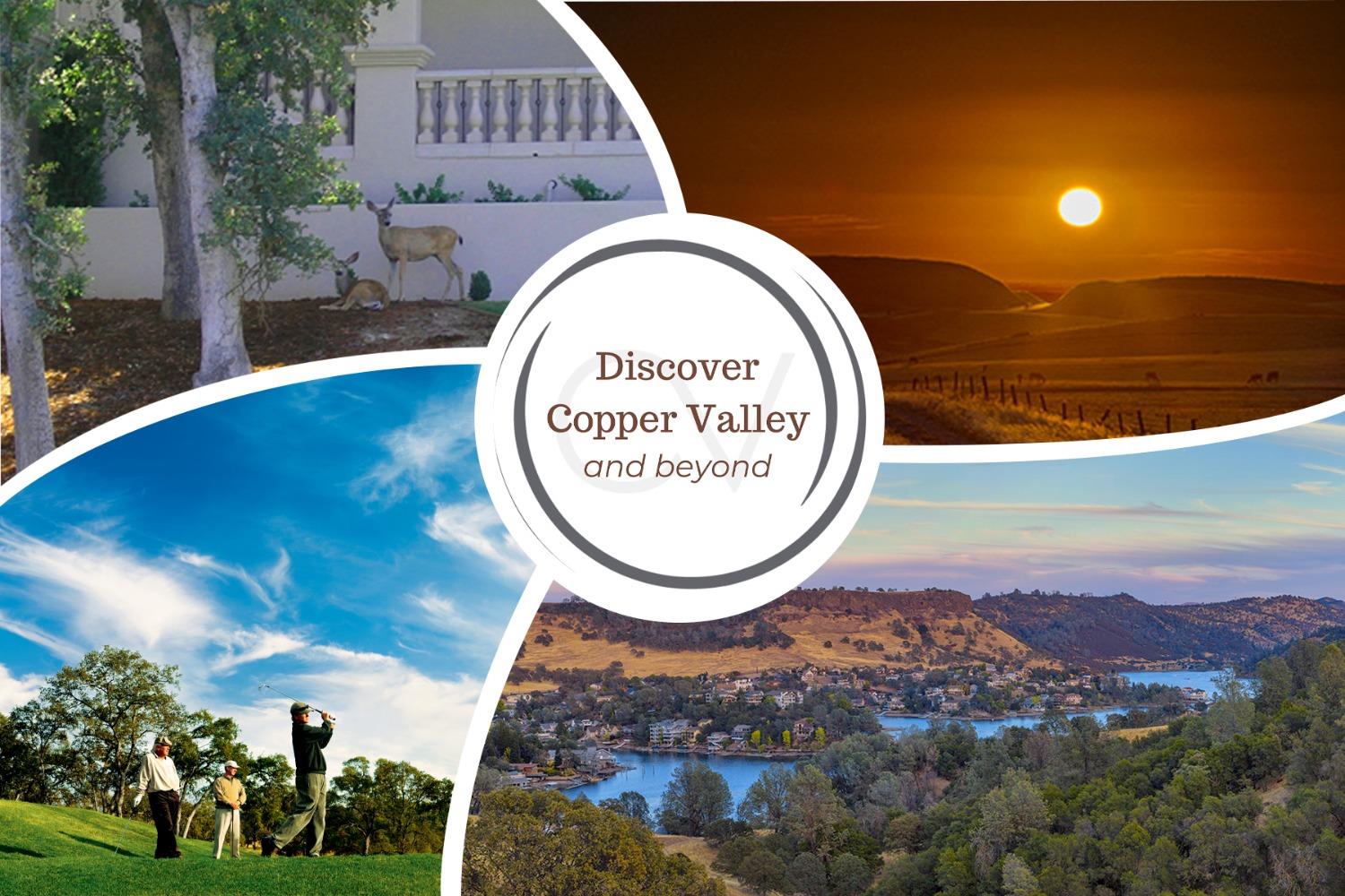 111 Quail Covey Ct, Copperopolis, CA 95228