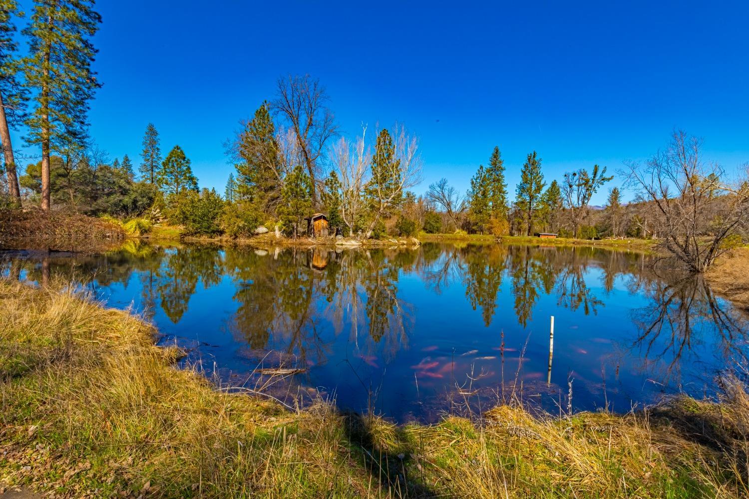 0 4.53 AC Wortham Rd, Oakhurst, CA 93644