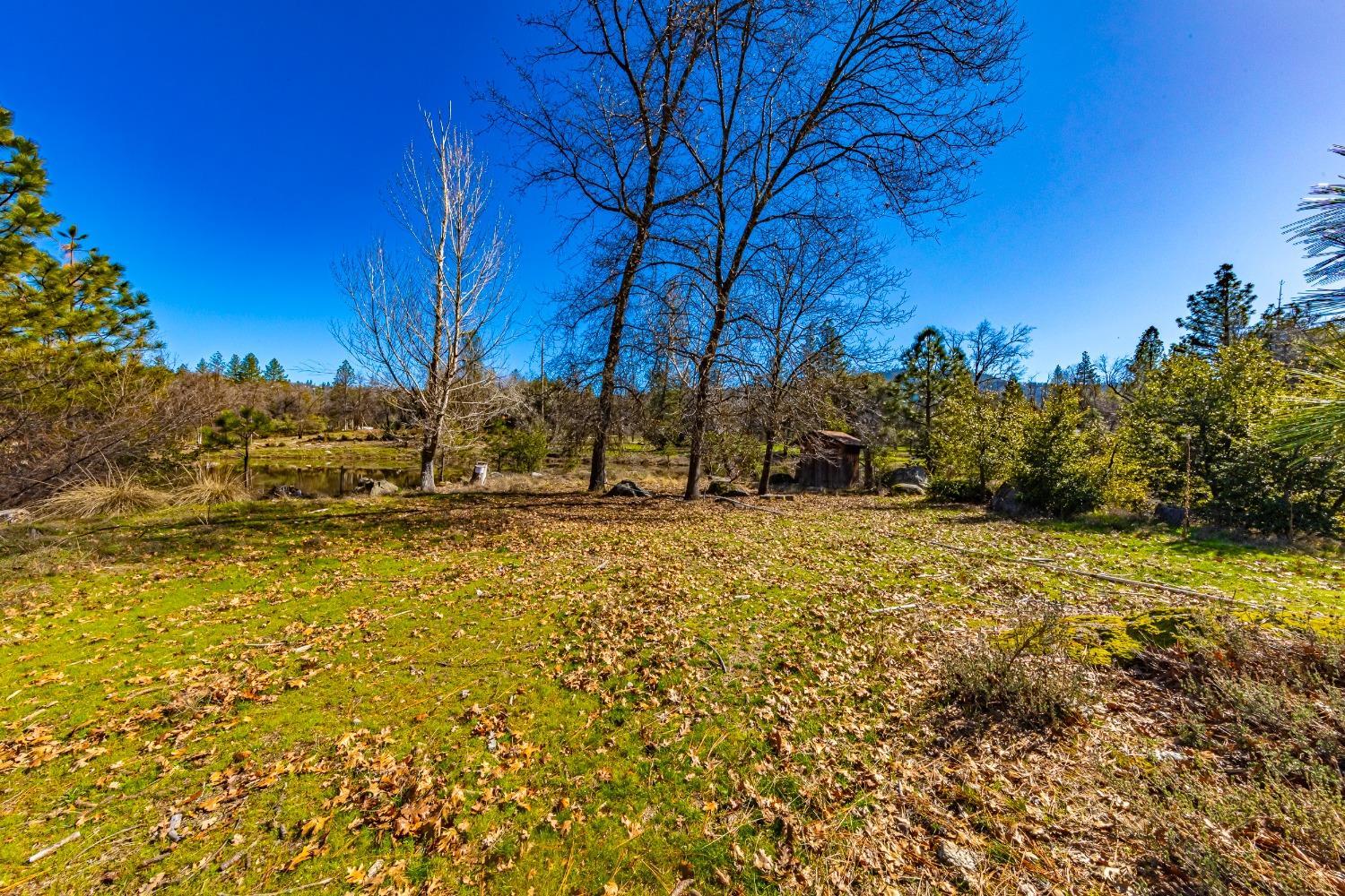 0 4.53 AC Wortham Rd, Oakhurst, CA 93644