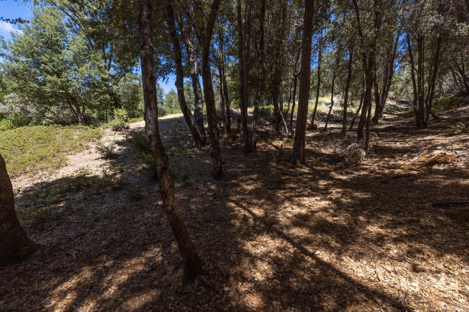 8 N Cedar Vista Circle, Bass Lake, CA 93604