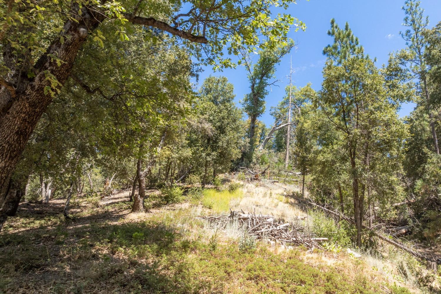8 N Cedar Vista Circle, Bass Lake, CA 93604