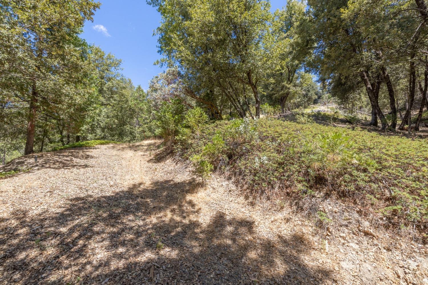 8 N Cedar Vista Circle, Bass Lake, CA 93604
