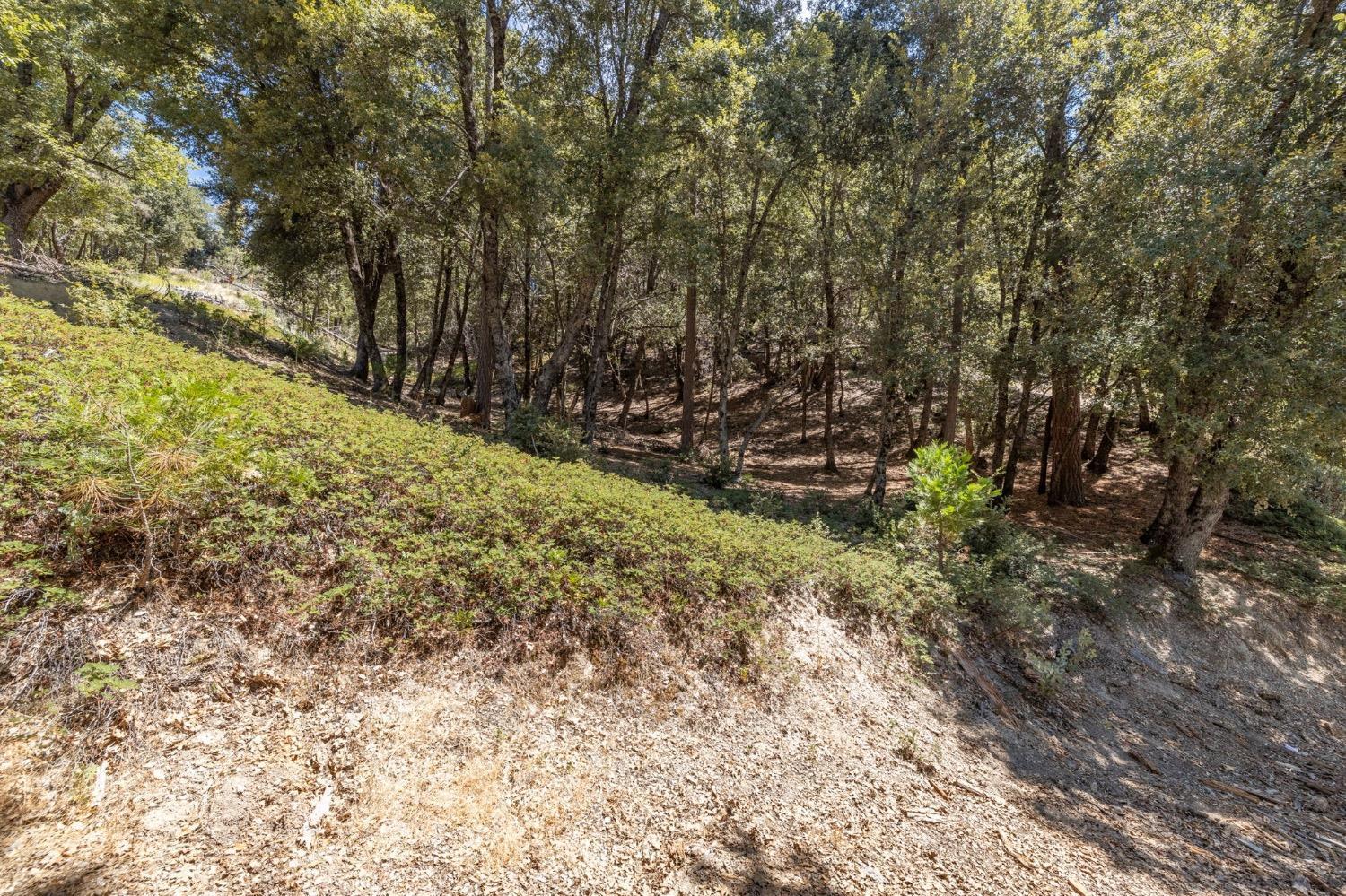 8 N Cedar Vista Circle, Bass Lake, CA 93604