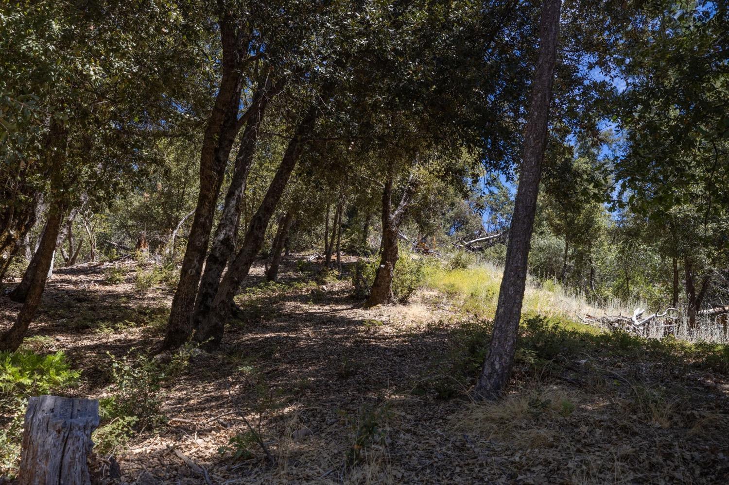 8 N Cedar Vista Circle, Bass Lake, CA 93604