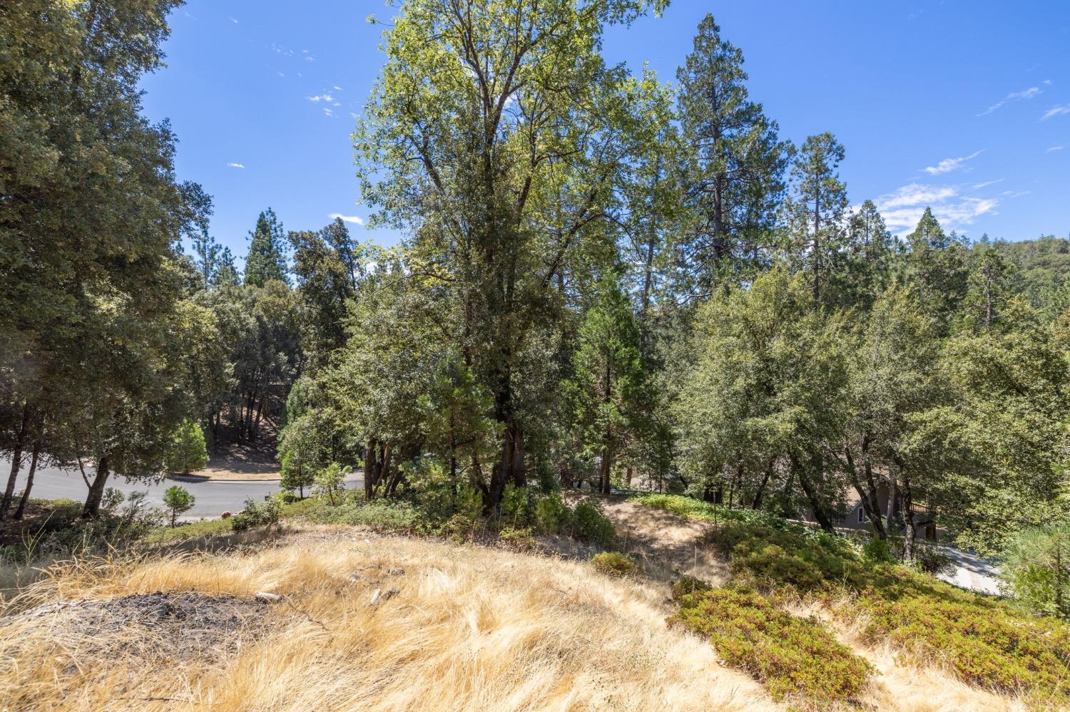 8 N Cedar Vista Circle, Bass Lake, CA 93604