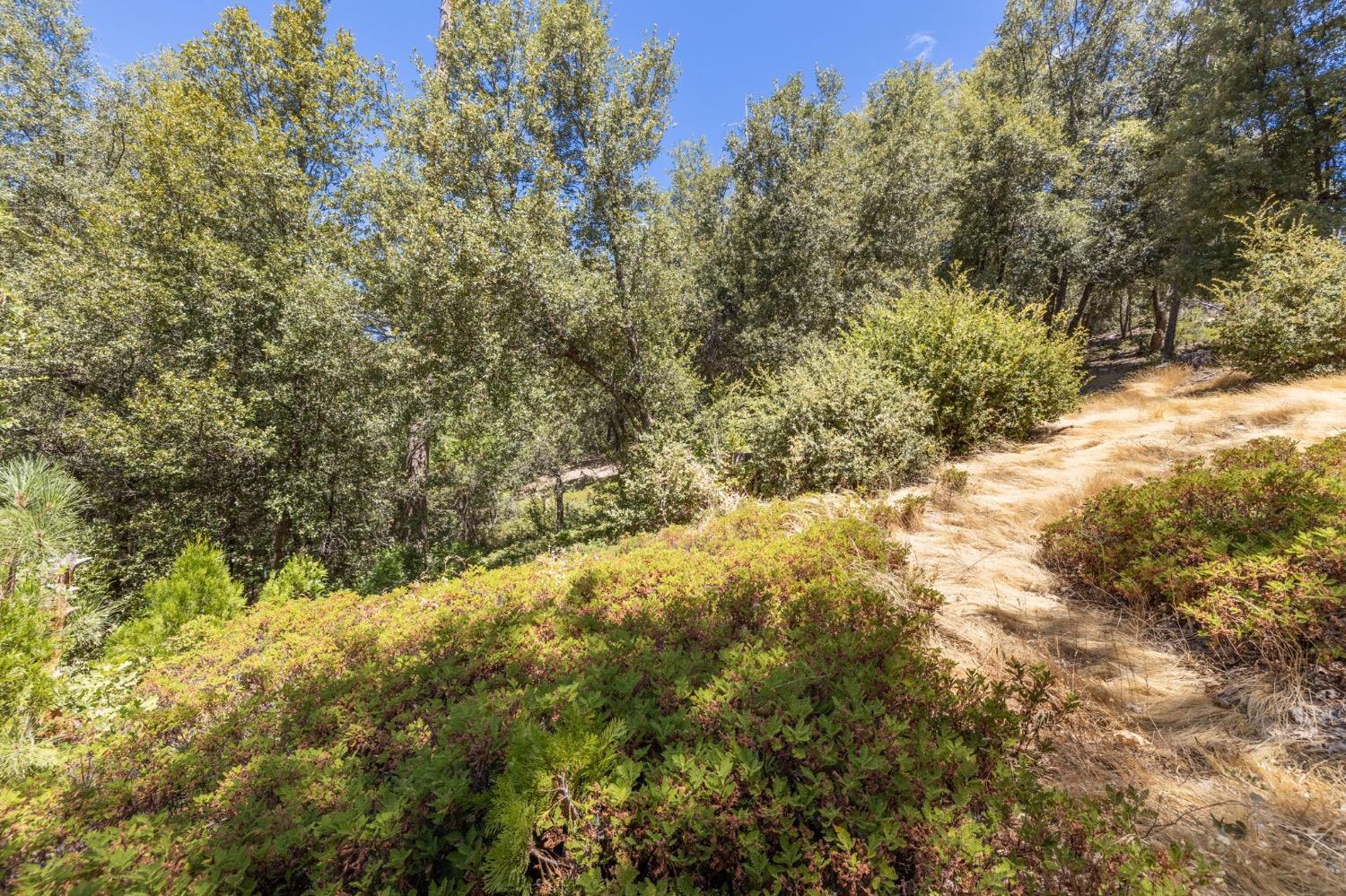8 N Cedar Vista Circle, Bass Lake, CA 93604