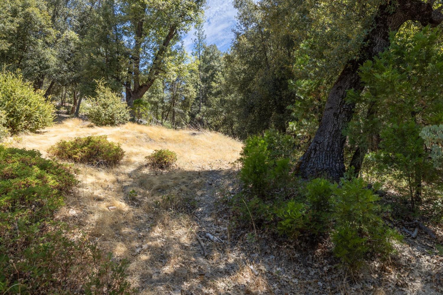 8 N Cedar Vista Circle, Bass Lake, CA 93604