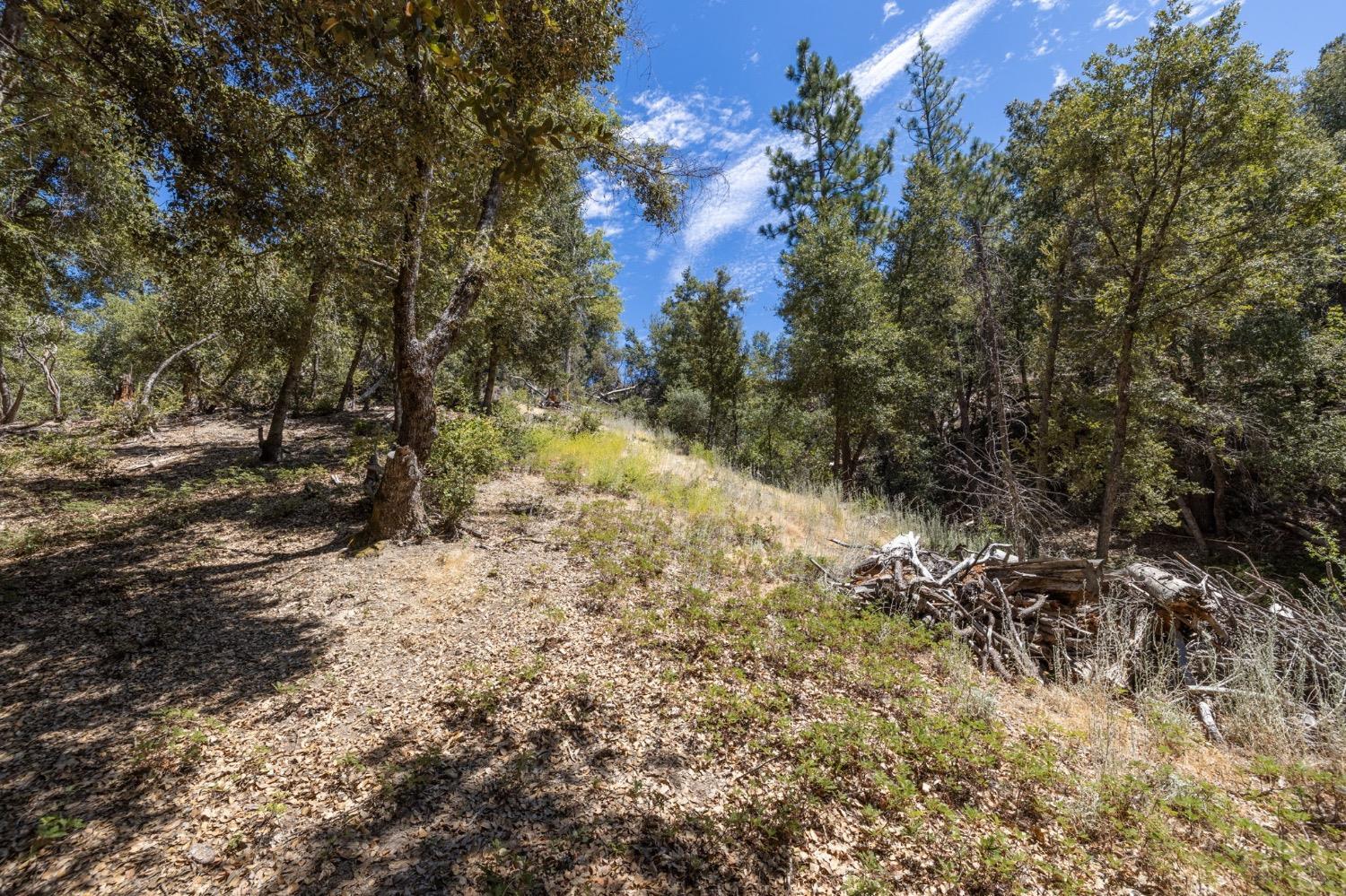 8 N Cedar Vista Circle, Bass Lake, CA 93604