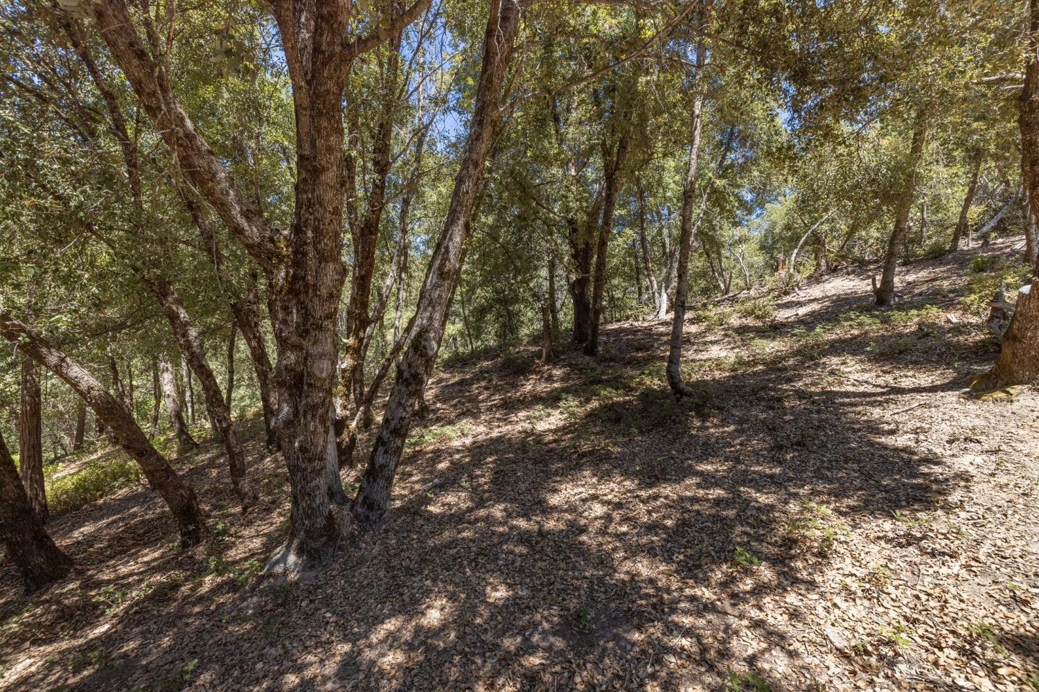 8 N Cedar Vista Circle, Bass Lake, CA 93604