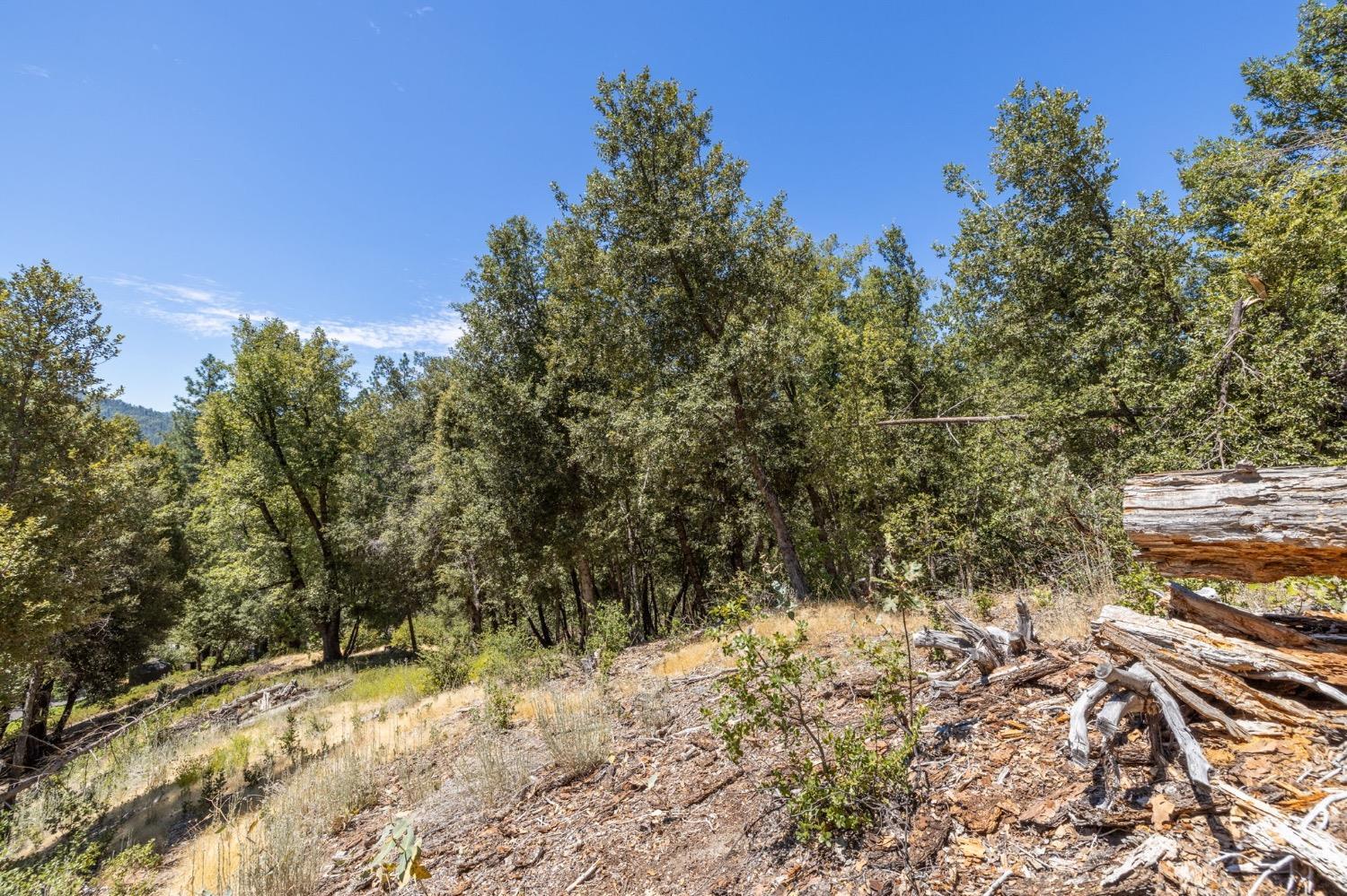 8 N Cedar Vista Circle, Bass Lake, CA 93604