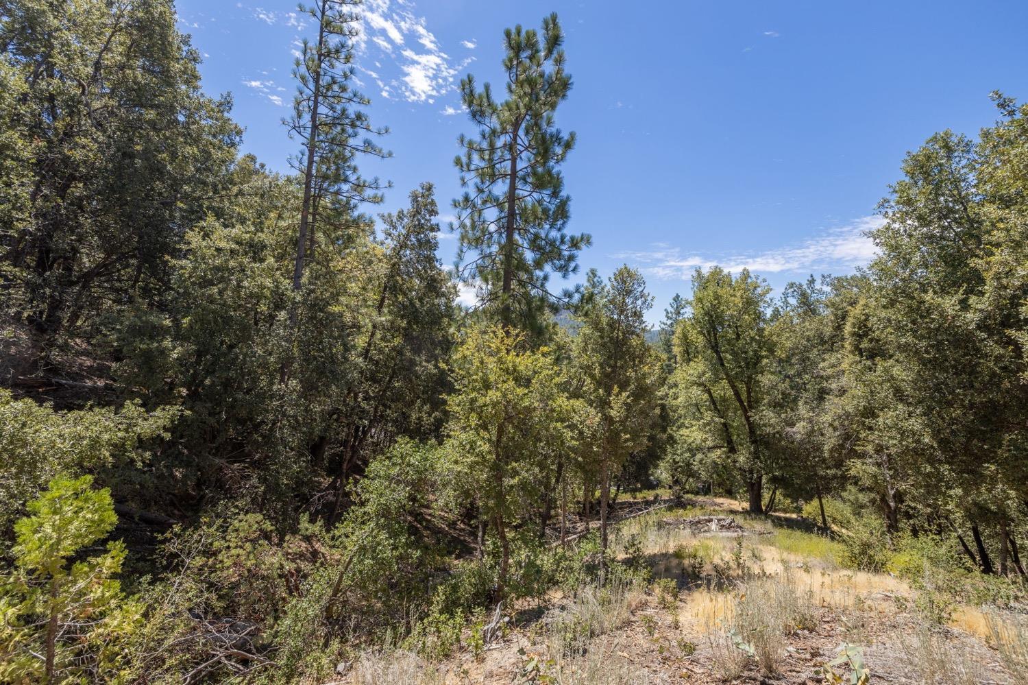 8 N Cedar Vista Circle, Bass Lake, CA 93604