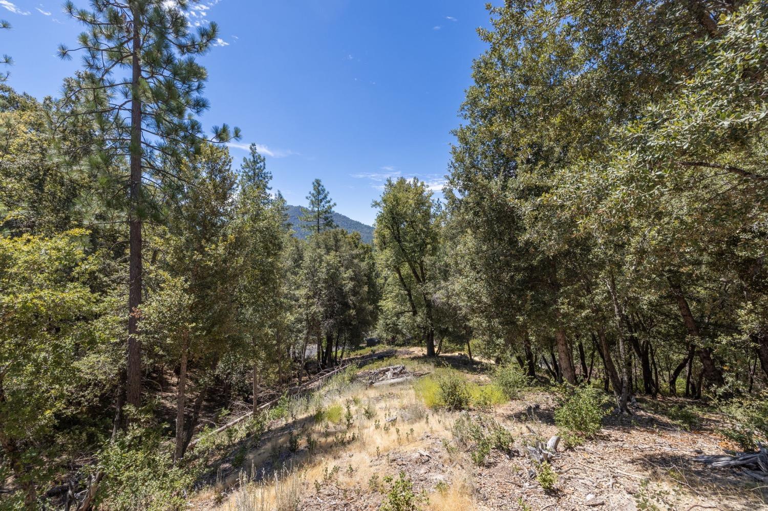 8 N Cedar Vista Circle, Bass Lake, CA 93604