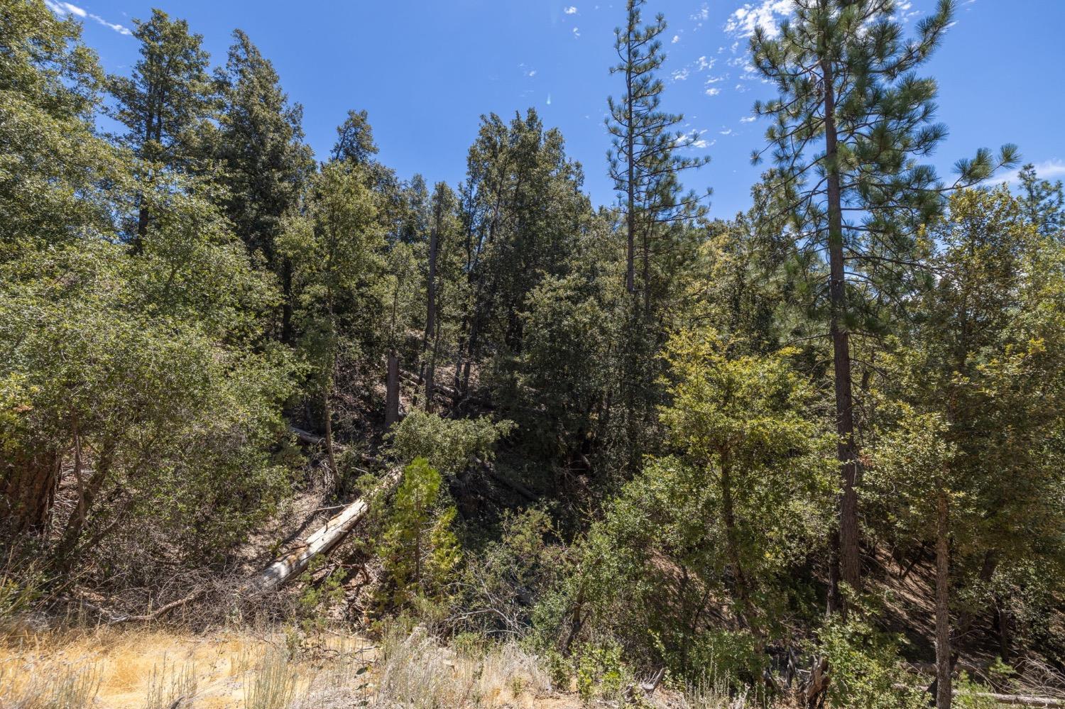 8 N Cedar Vista Circle, Bass Lake, CA 93604