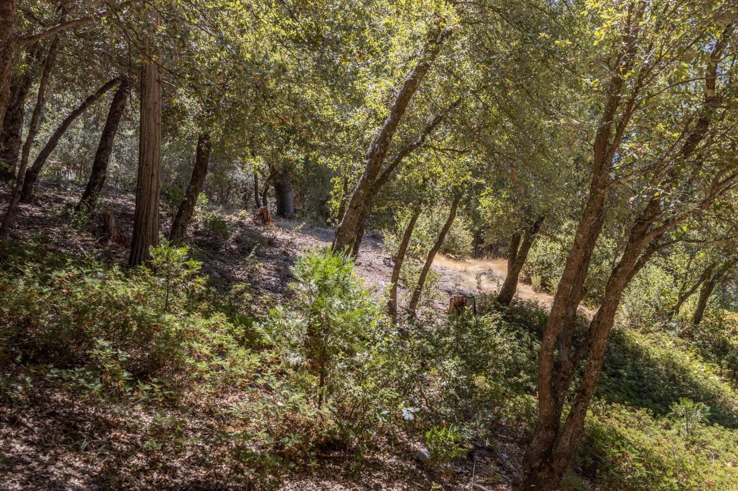 8 N Cedar Vista Circle, Bass Lake, CA 93604