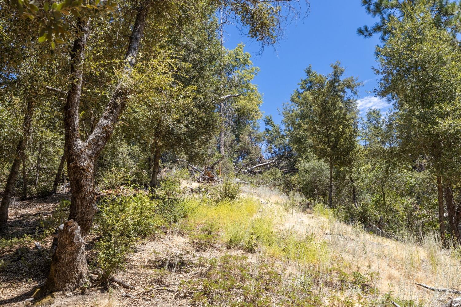 8 N Cedar Vista Circle, Bass Lake, CA 93604