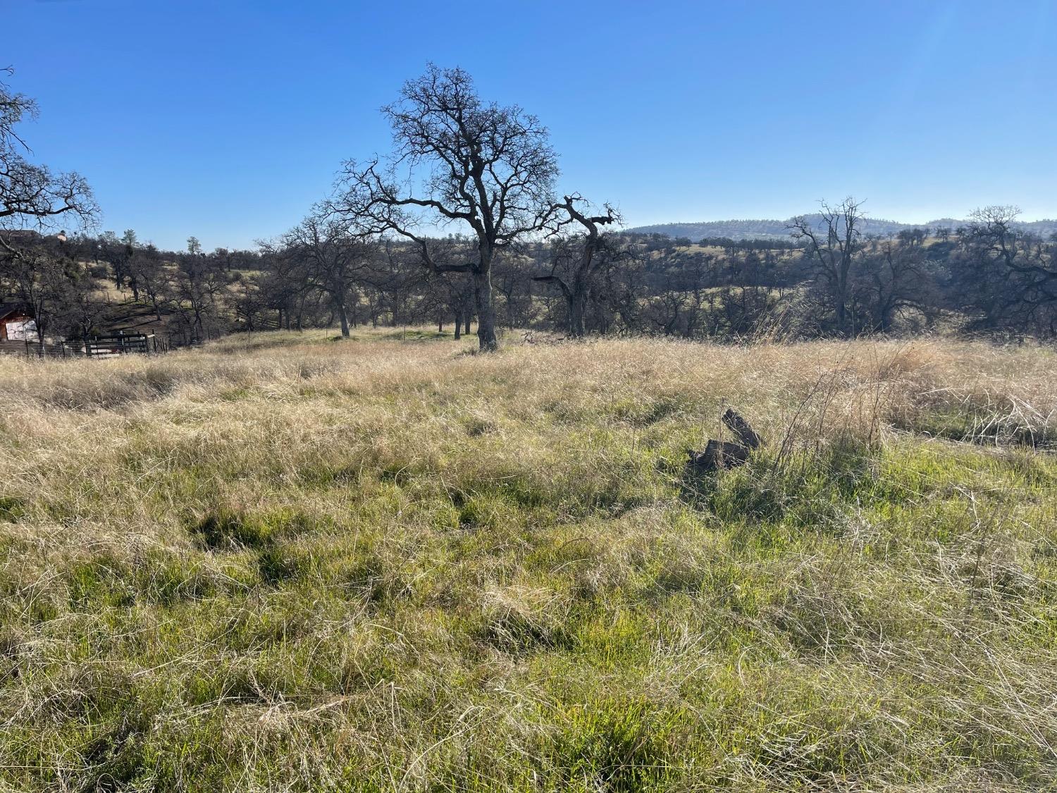 13651 Barro Ct, La Grange, CA 95329