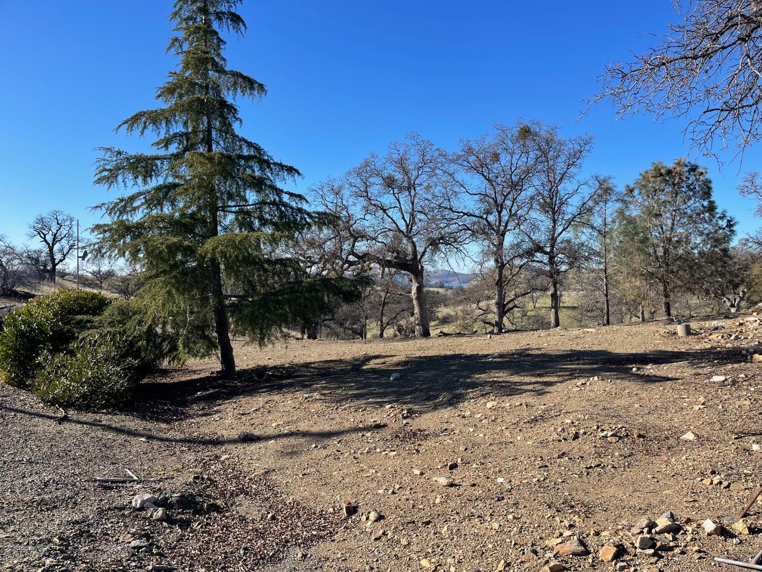 13651 Barro Ct, La Grange, CA 95329