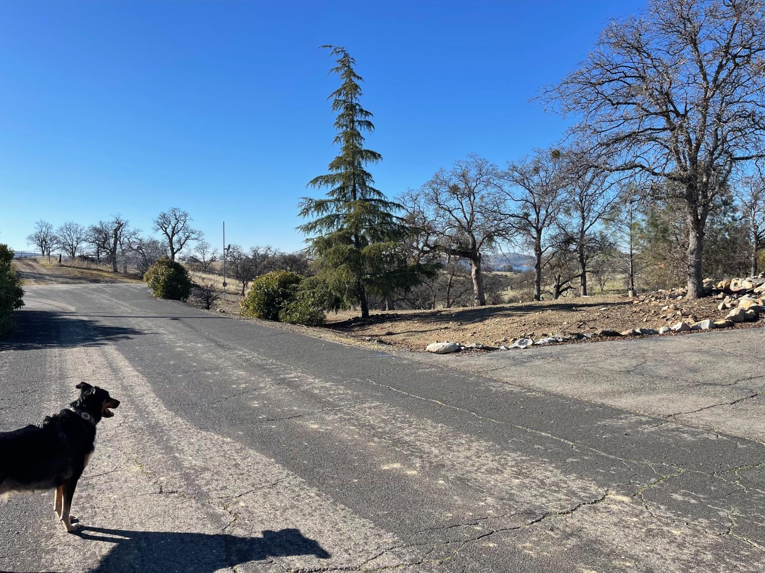 13651 Barro Ct, La Grange, CA 95329