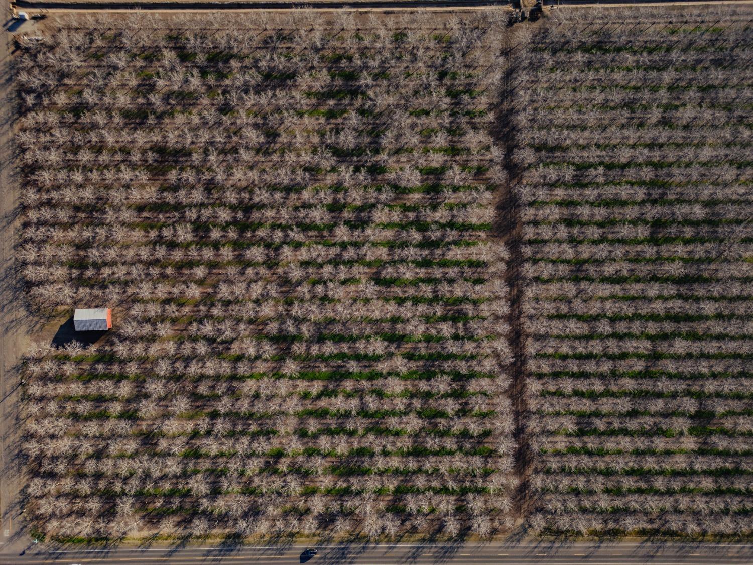 37 Whealan Rd, Le Grand, CA 95333