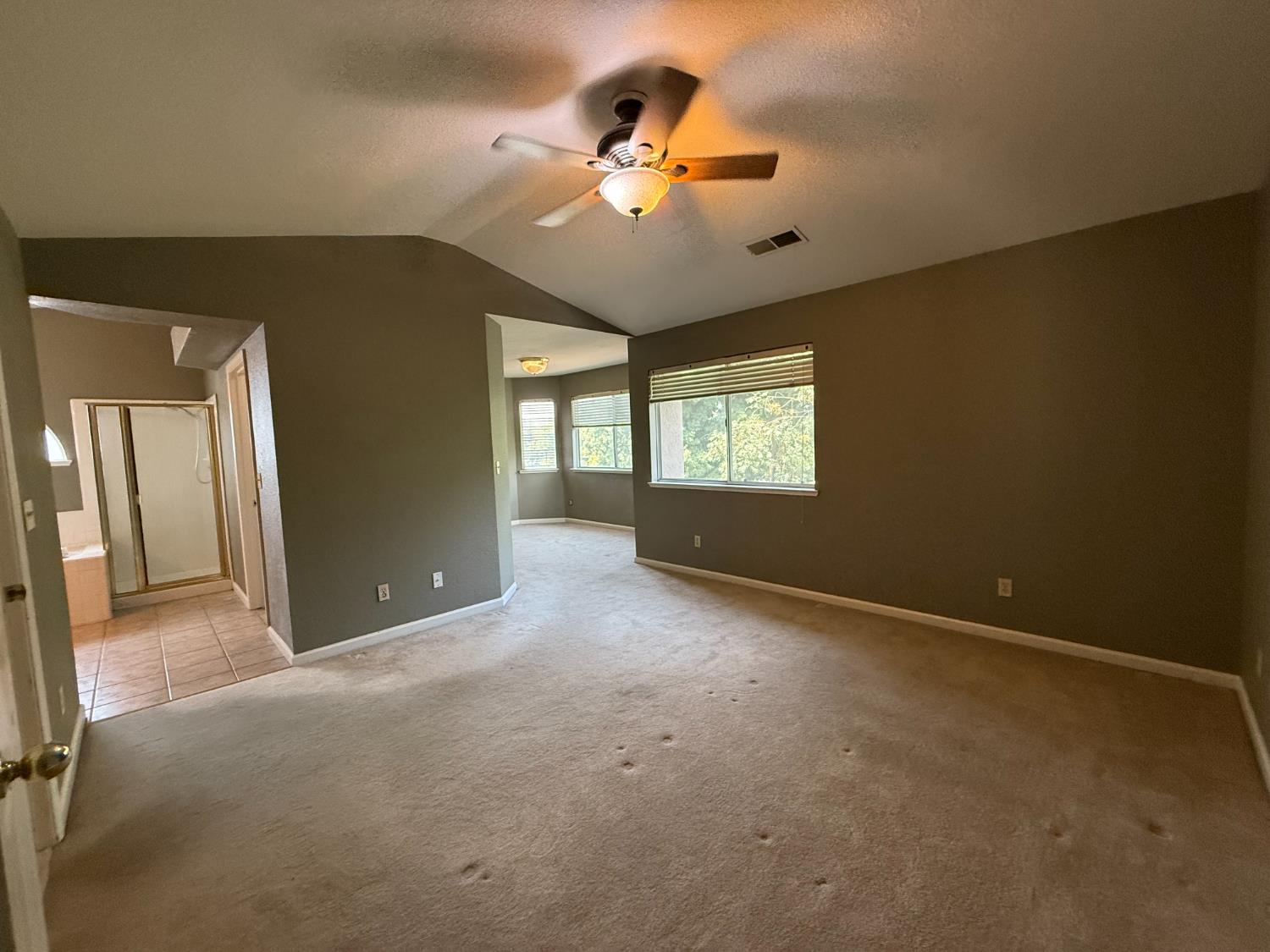 217 Castile Ln, Turlock, CA 95382