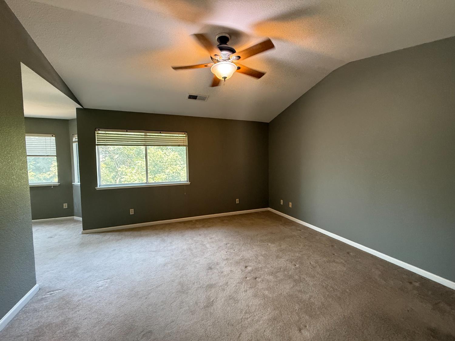 217 Castile Ln, Turlock, CA 95382