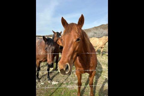 0 3 Hunt Rd, Copperopolis, CA 95228