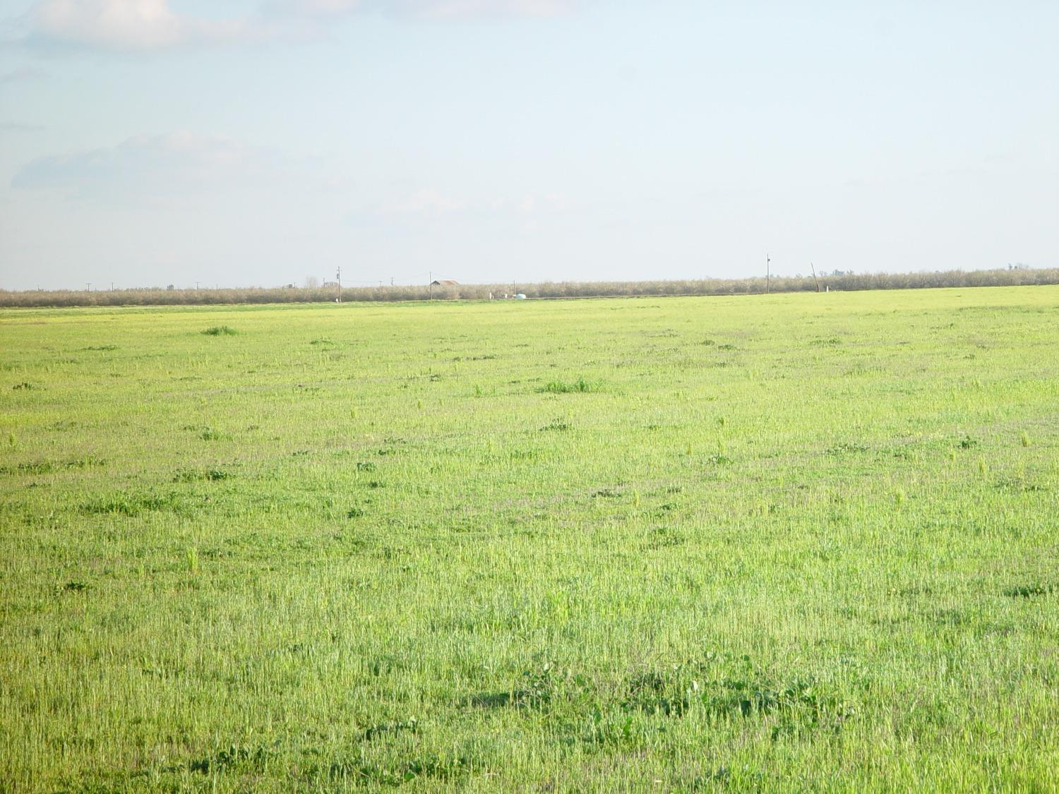 20242 AVE. 21 1/2, Chowchilla, CA 93610