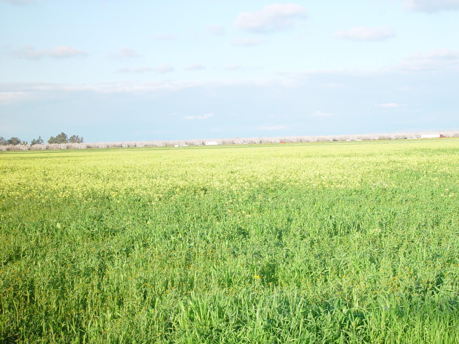 20242 AVE. 21 1/2, Chowchilla, CA 93610