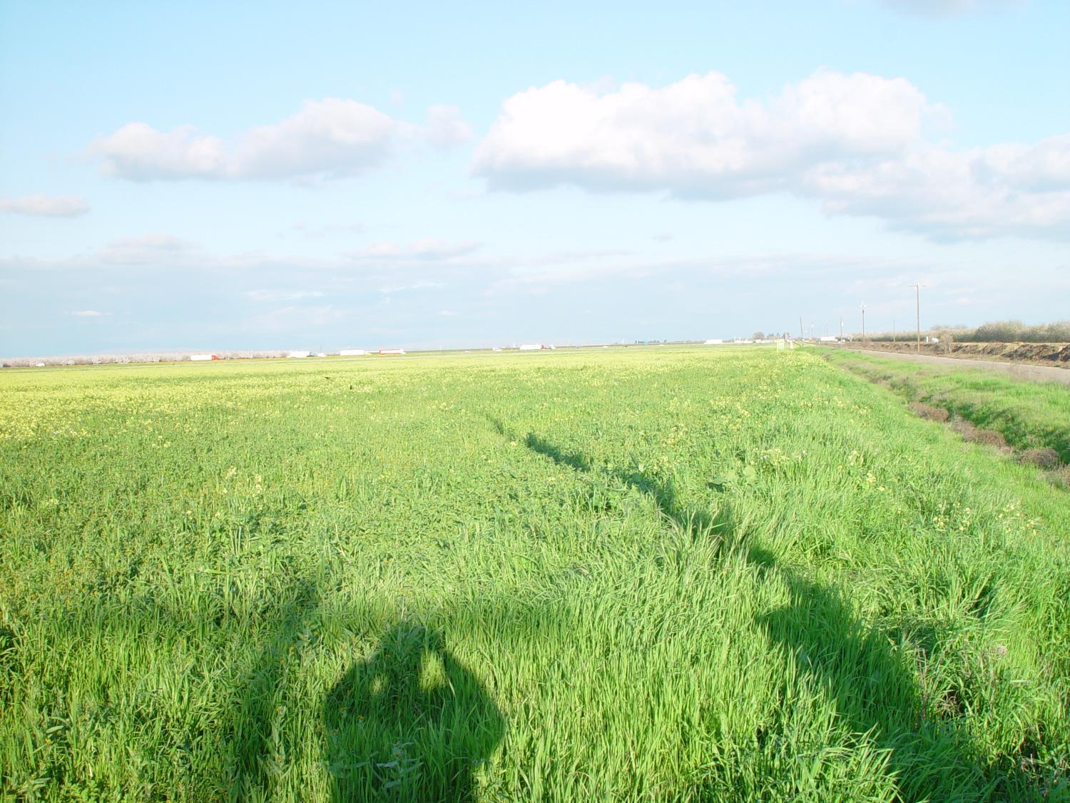 20242 AVE. 21 1/2, Chowchilla, CA 93610