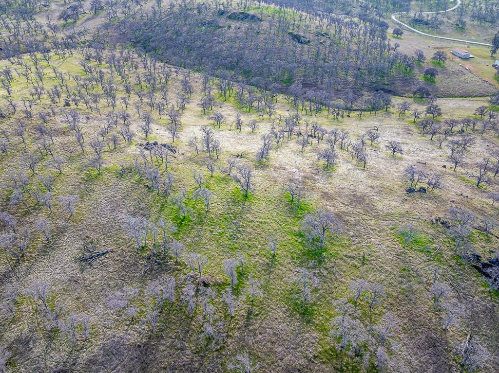 14 Los Nogales Rd, La Grange, CA 95329