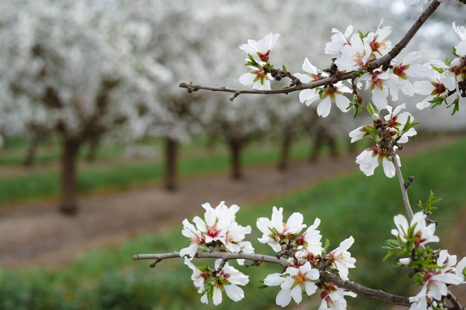 0 Hart Rd, Modesto, CA 95358