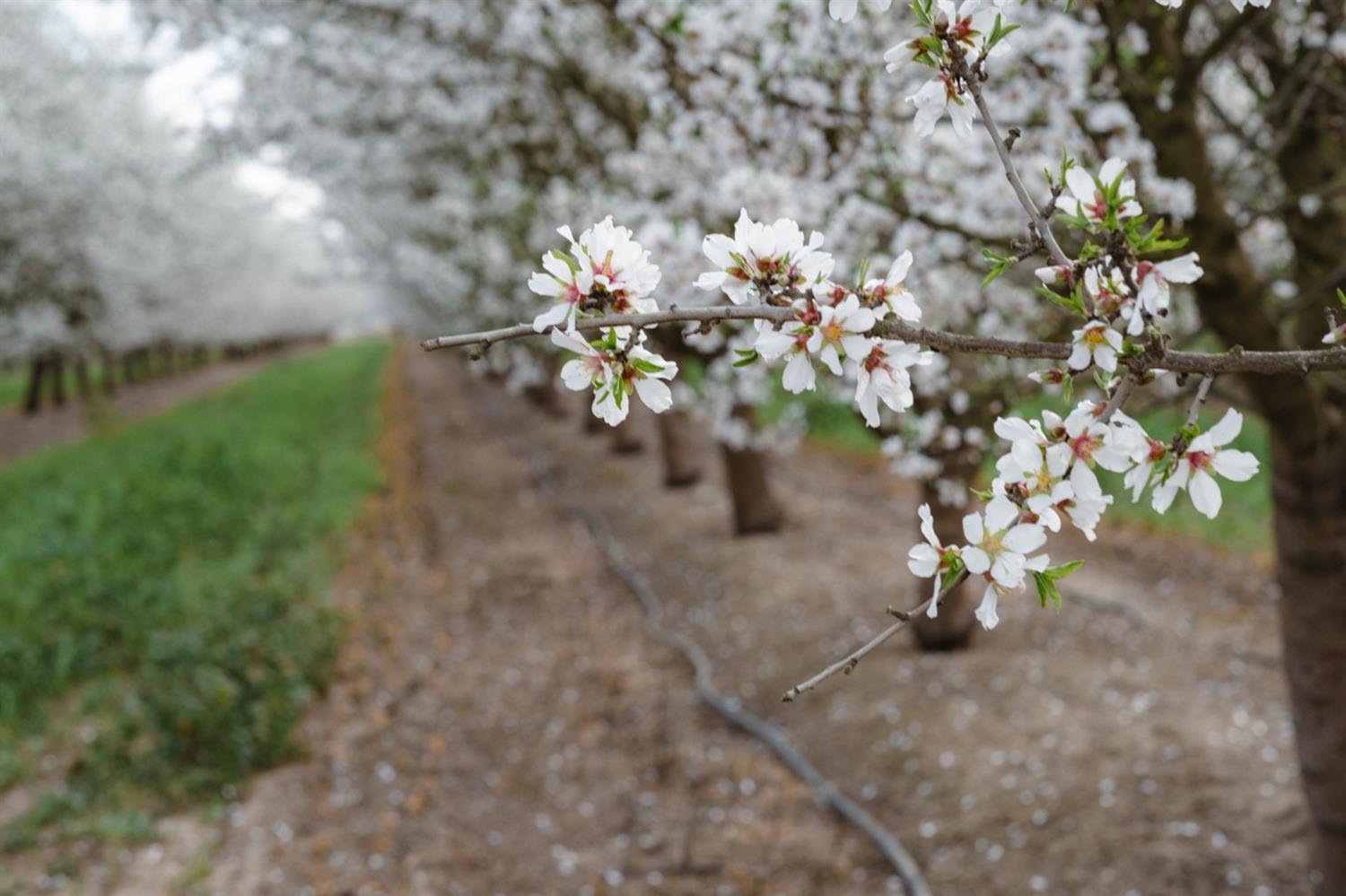 0 Hart Rd, Modesto, CA 95358