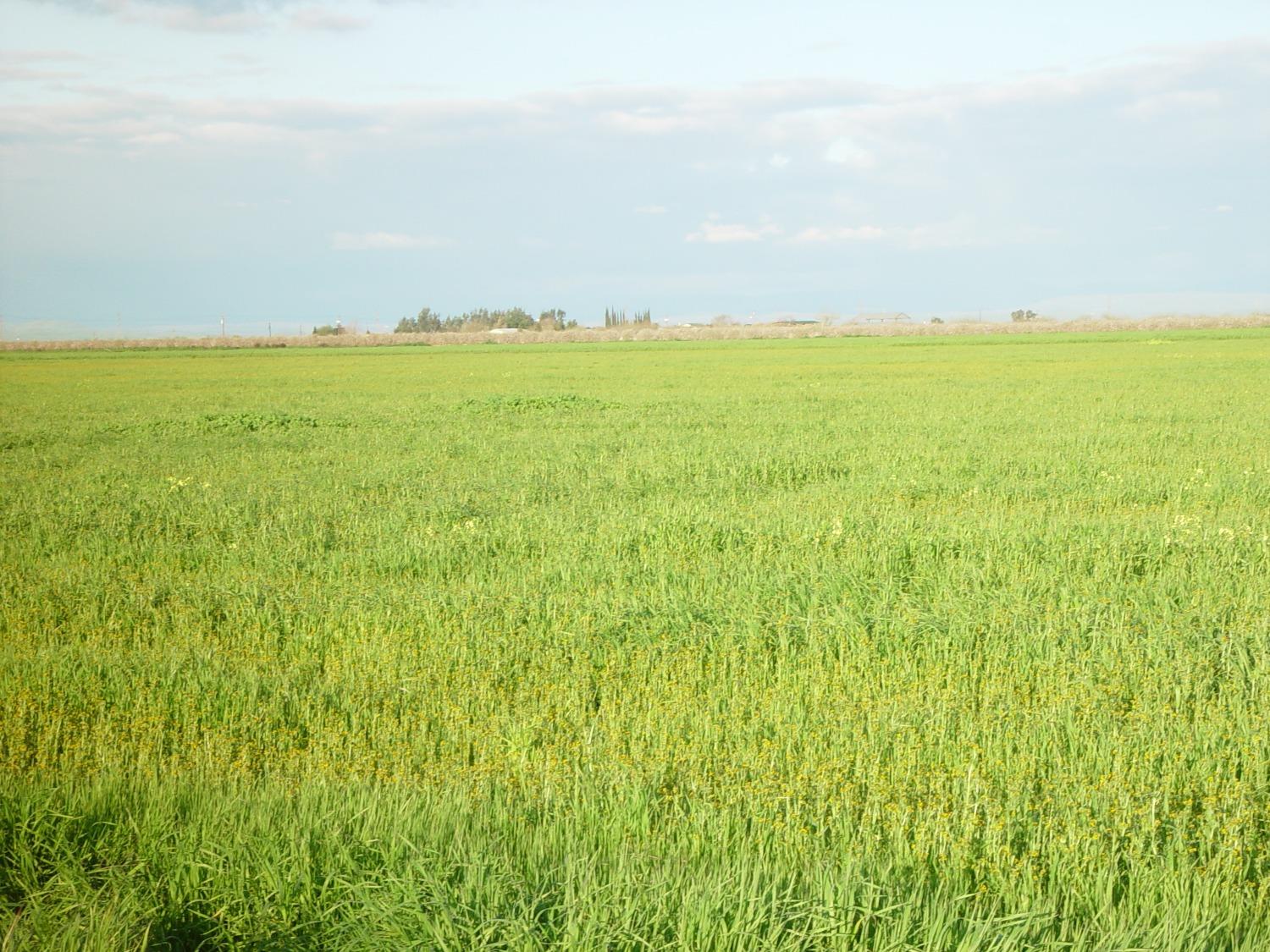 1 ROAD 18 3/4, Chowchilla, CA 93610