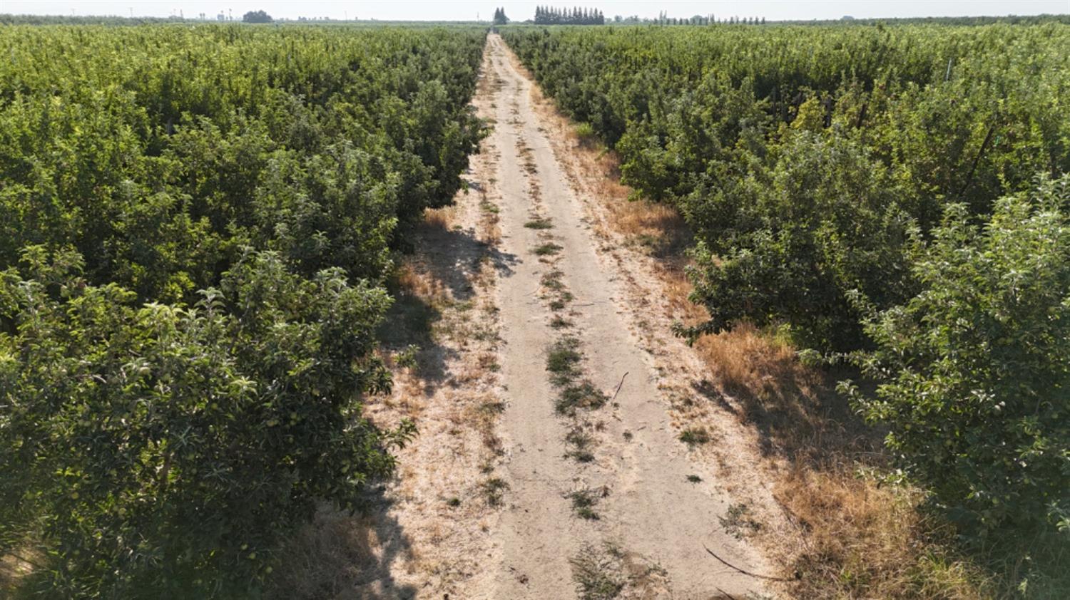 16929 Louise Ave, Escalon, CA 95320